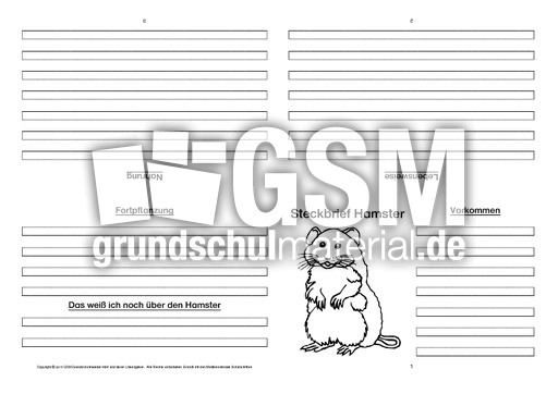 Hamster-Faltbuch-vierseitig-1.pdf